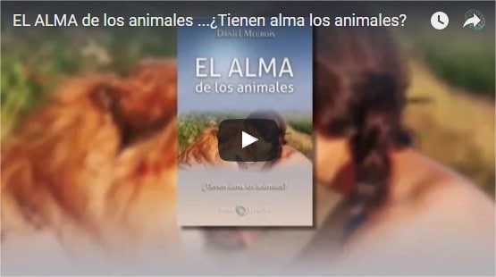 EL ALMA de los animales …